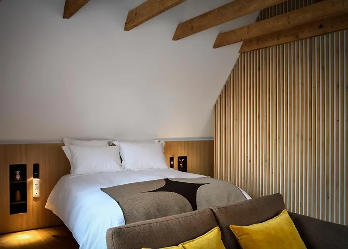 Rive Petite Venise Appartement Luxe - Centre Ville Colmar - Clim, Ascenseur & Possibilite Parking